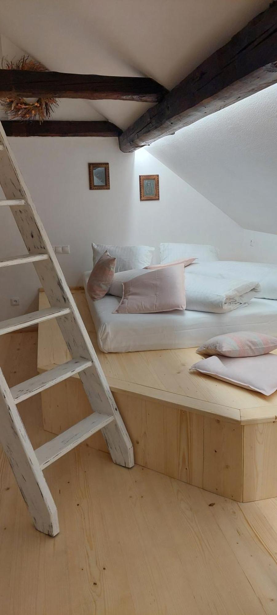 Apartment Javorek Snezne (Pardubice)